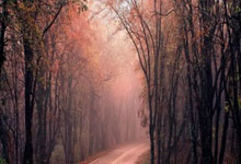 祝贺!WTT总决赛王楚钦战胜帕特里克·弗朗西斯卡晋级八强央视新闻客户端.