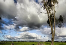 [NBA]巴特勒出球失误 特伦特抢断反击打成2+1.