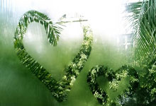 蜂鸟电竞官网:PSG信心满满欧冠争翻盘 红军步步为营.