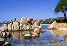 蜂鸟电竞官网:土媒:费内巴切想签埃德森和DV9,B计划是斯维拉尔和希克.